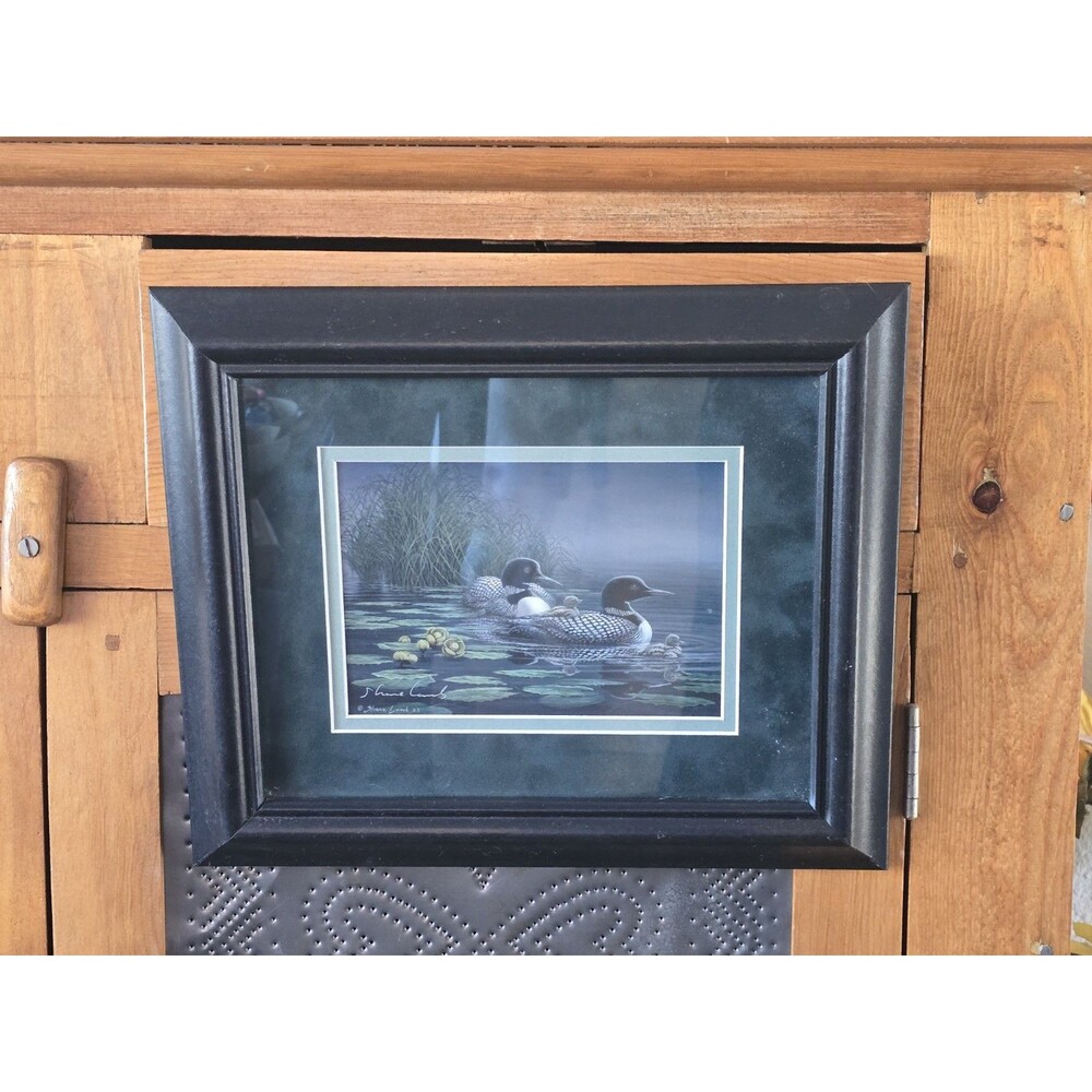 Shane Lamb Studios Photography PRINT Loon Family